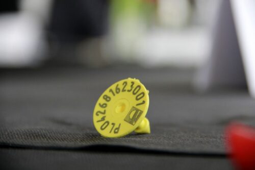 kolczyk, znakowanie, rejestr zdarzeń, portal IRZPlus