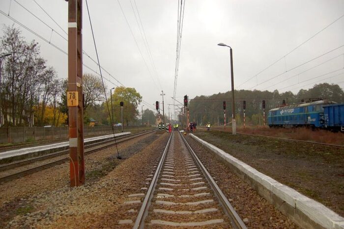 konie, ubezpieczenie konia, koń, ubezpiecz konia, Concordia Ubezpieczenia