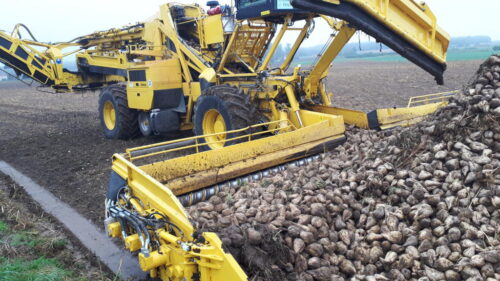 buraki, doczyszczarko-ładowarka, pryzma