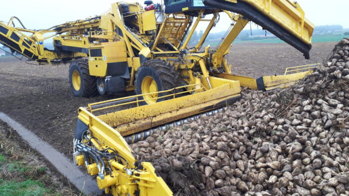 buraki, doczyszczarko-ładowarka, pryzma