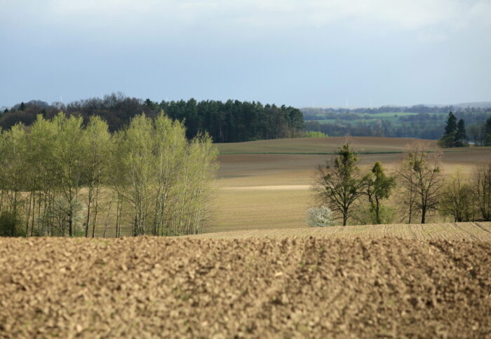 scalanie gruntów, podlasie, prow 2014-2020, drogi dojazdowe do pól, łączenie działek