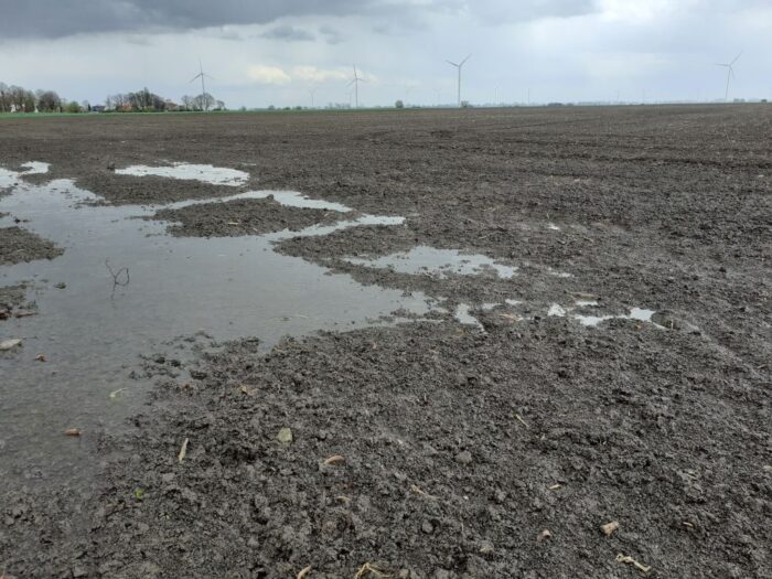 KSC, Program pomocowy dla Plantatorów Buraka Cukrowego, wsparcie KSC dla plantatorów buraka cukrowego, przesiewy
