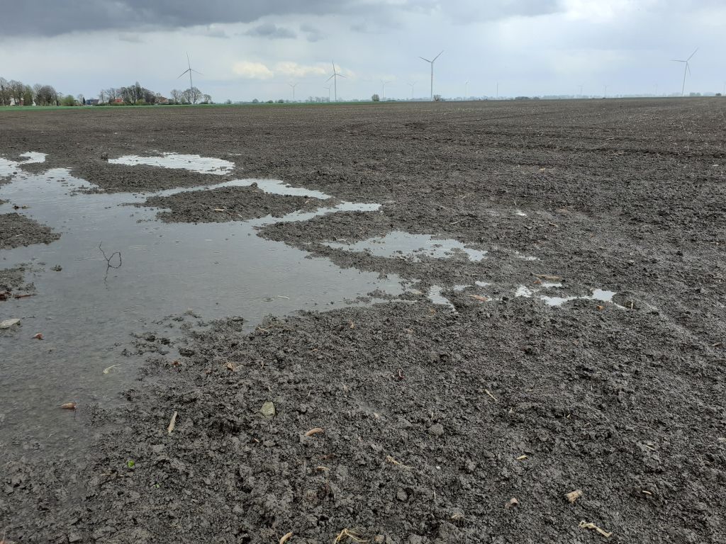 KSC, Program pomocowy dla Plantatorów Buraka Cukrowego, wsparcie KSC dla plantatorów buraka cukrowego, przesiewy