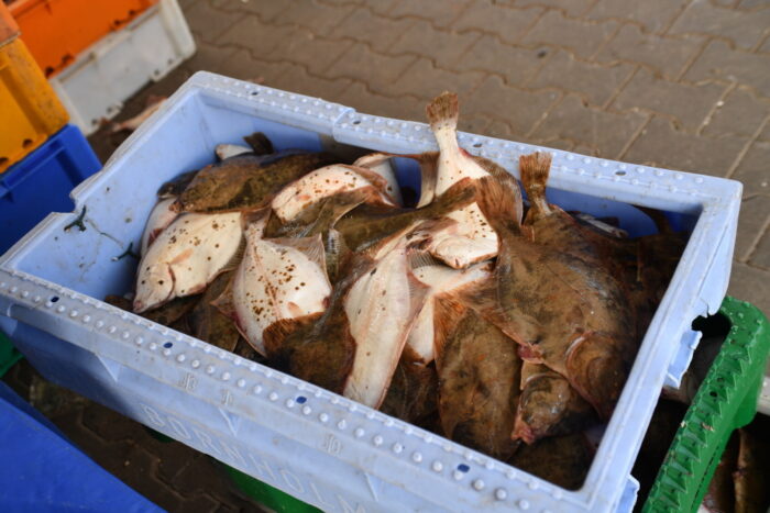 ustawa o rybołówstwie morskim, rybołówstwo morskie, senat, Wspólna Polityka Rybołówstwa