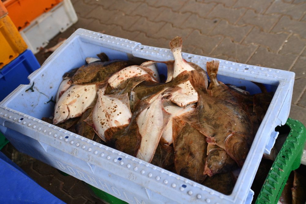 ustawa o rybołówstwie morskim, rybołówstwo morskie, senat, Wspólna Polityka Rybołówstwa