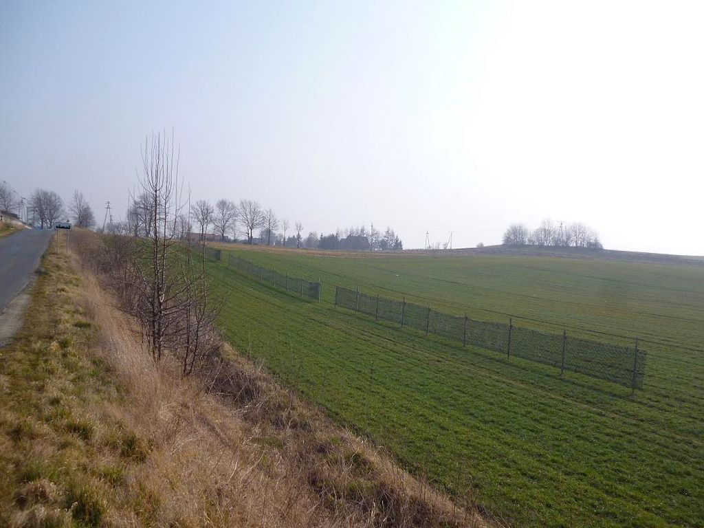 zasłony przeciwśnieżne, niszczenie upraw, krir, GDDKiA, straty w uprawach