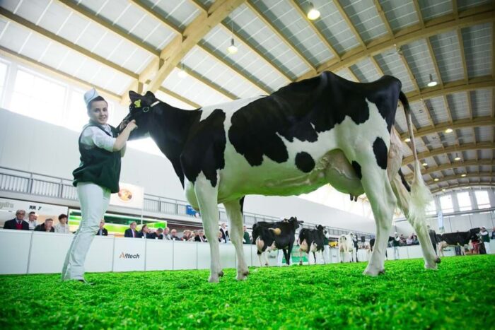 Narodowa Wystawa Rolnicza, MTP, Poznań, 100-lecie niepodległości