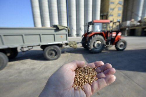 zboża, sprzedaż zbóż, ceny, agrobiznes, KOWR
