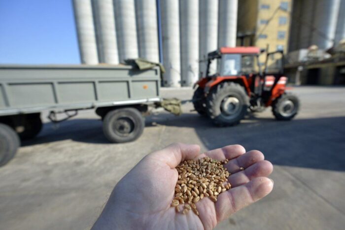 zboża, sprzedaż zbóż, ceny, agrobiznes, KOWR
