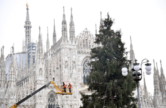włochy, zniszczone lasy, choinki, sprzedaż choinek, związek rolników Coldiretti
