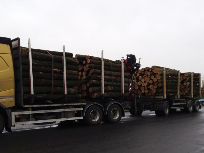 załadunek drewna