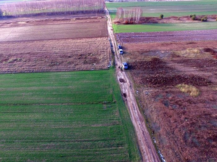 odstrzał dzików, limity odstrzałów dzików, koła łowieckie, ministerstwo środowiska