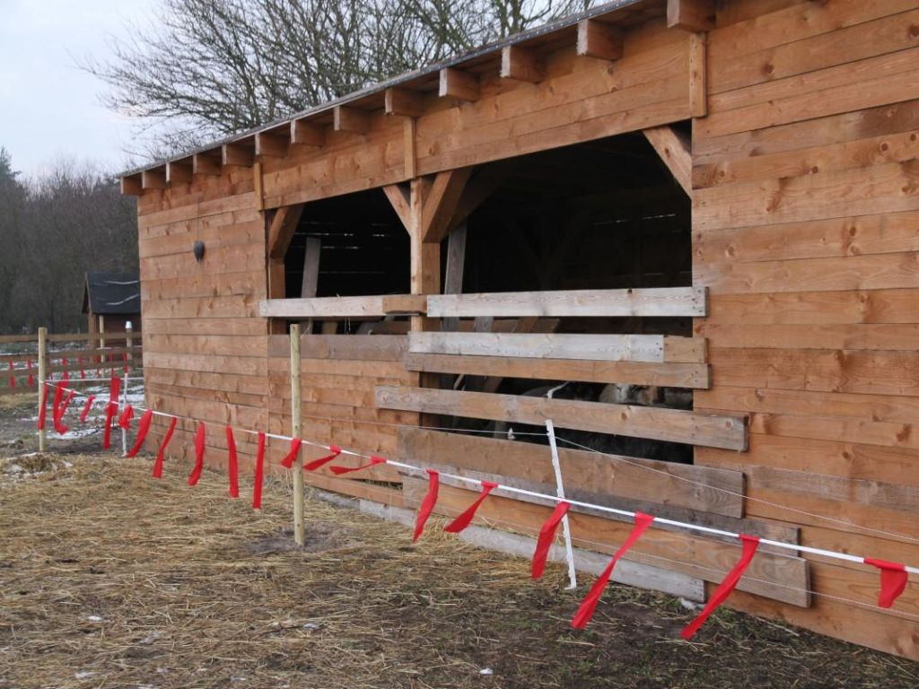 fladry, ataki wilków, kujawy i pomorze, rdoś w bydgoszczy, wfośigw w toruniu
