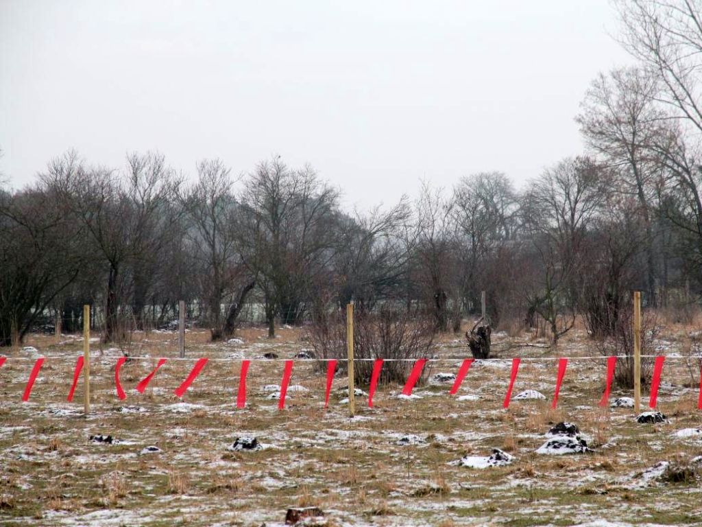 fladry, ataki wilków, kujawy i pomorze, rdoś w bydgoszczy, wfośigw w toruniu