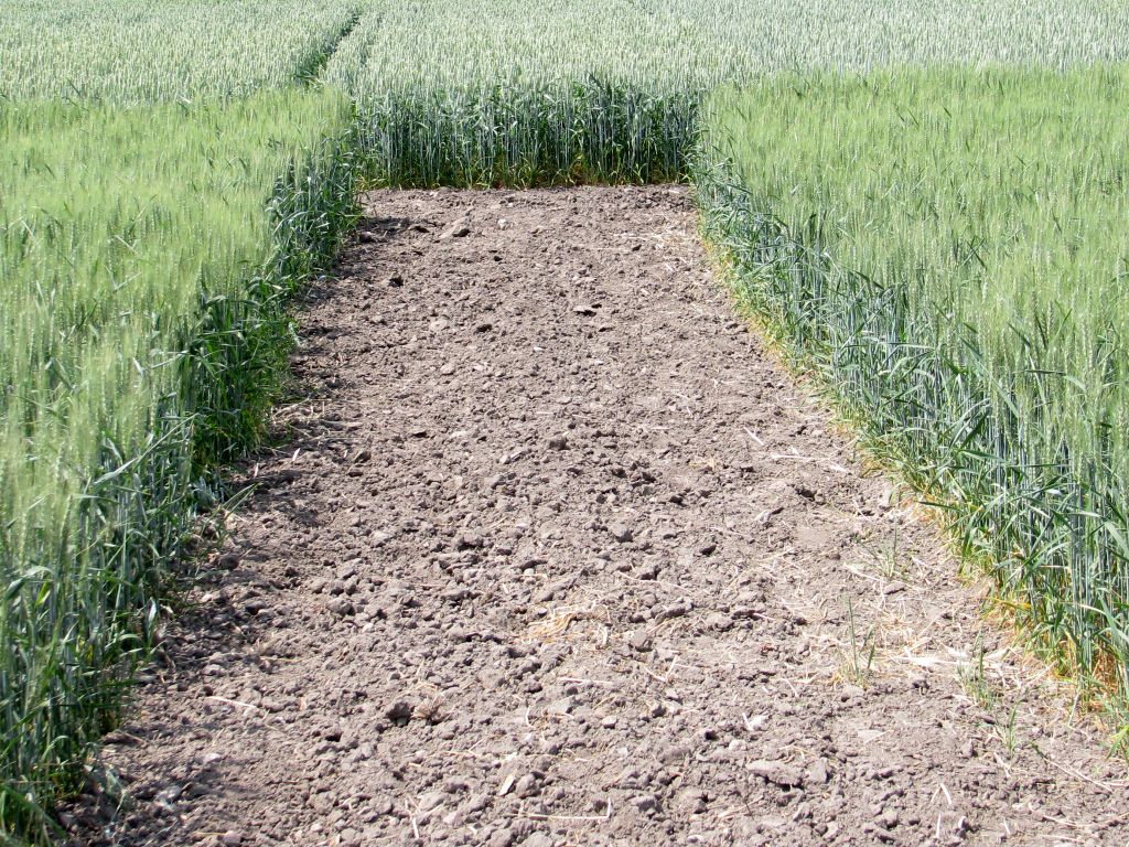 gleby w polsce, Ochrona środowiska 2018, zakwaszenie gleby, gus, wapnowanie