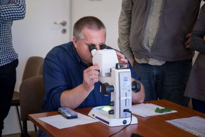 segment preparatów postpatentowych, Innvigo, uprawa, środki ochrony roślin