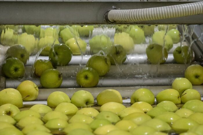 sadownictwo, skup jabłek, ceny jabłek, przetwórstwo owoców, eskimos, tadeusz romańczuk