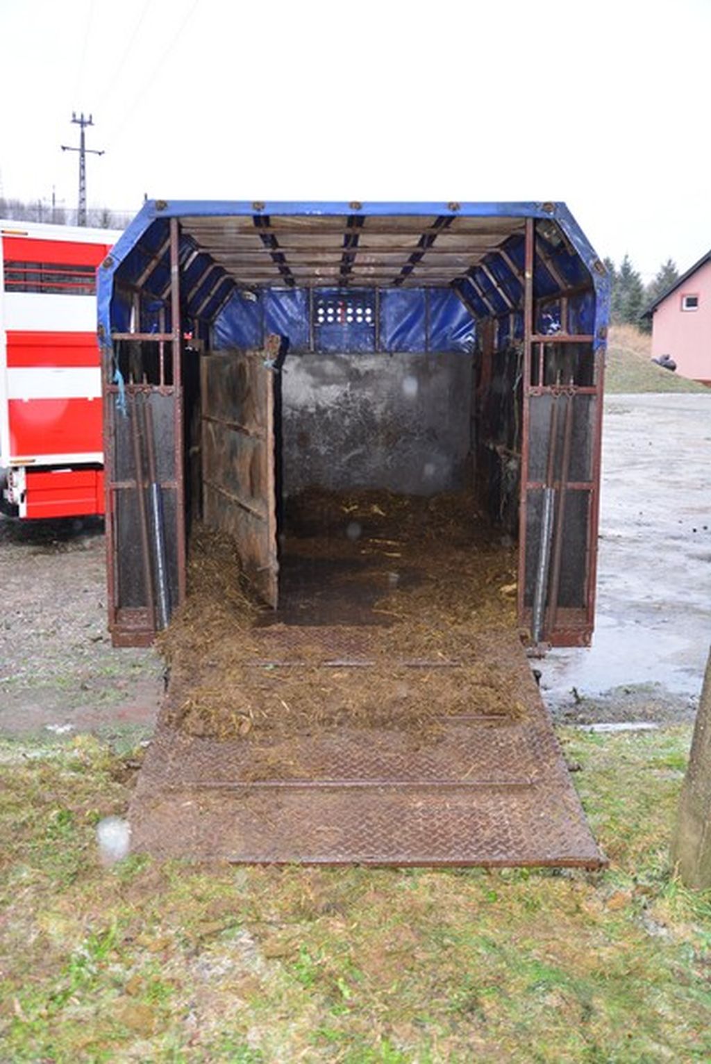 konie w policji, policja, KWP Rzeszów, konie do służby w policji