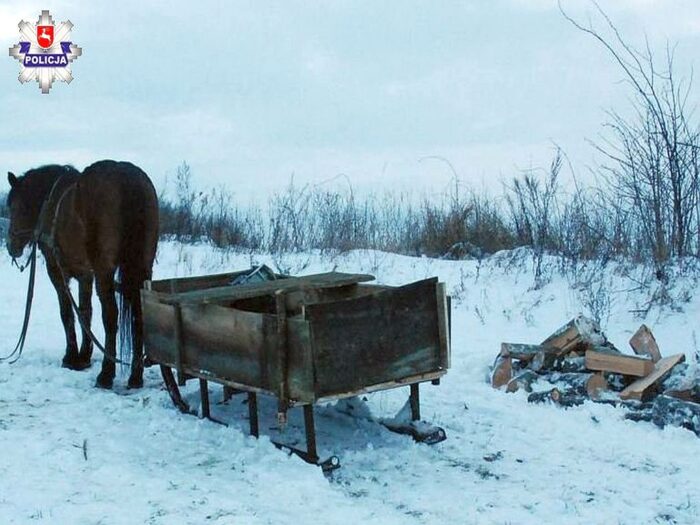 wypadek, policja, lubelskie, gmina Stary Zamość