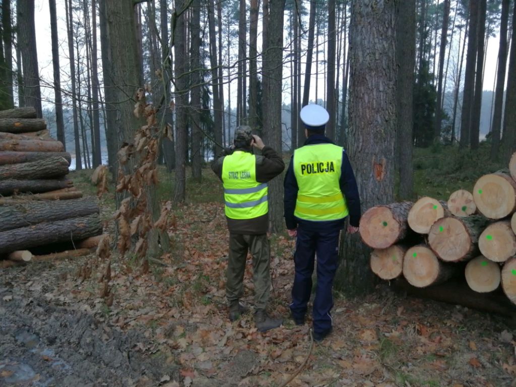 kradzież drewna, kradzież choinek, straż leśna, tuchowo, marciszowo, powiat kamiennogórski