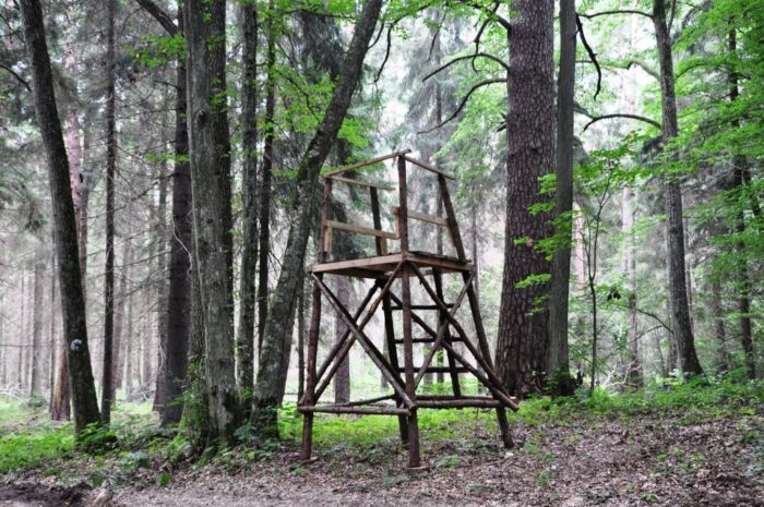 myśliwi, prawo łowieckie, ambona