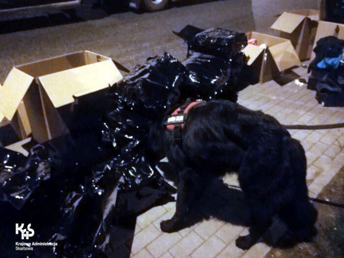 marihuana w mandarynkach