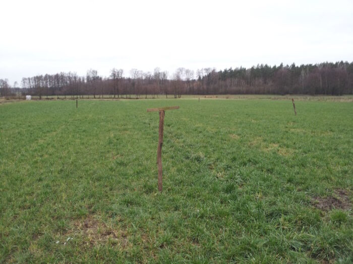 trawa, słupki, pole