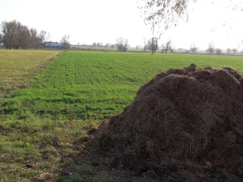 dyrektywa azotanowa, ochrona wód, Wielkopolska Izba Rolnicza, stosowanie nawozów mineralnych