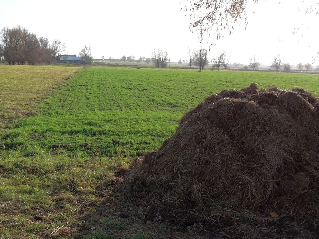 dyrektywa azotanowa, ochrona wód, Wielkopolska Izba Rolnicza, stosowanie nawozów mineralnych