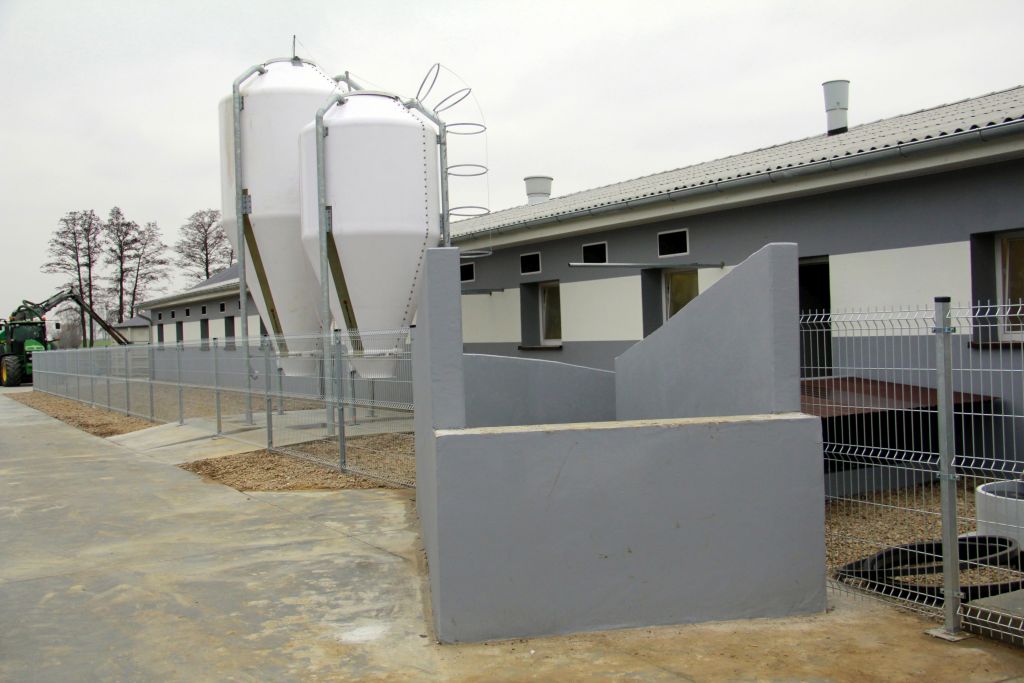 chlewnia, warchlaki, lochy, trzoda chlewna