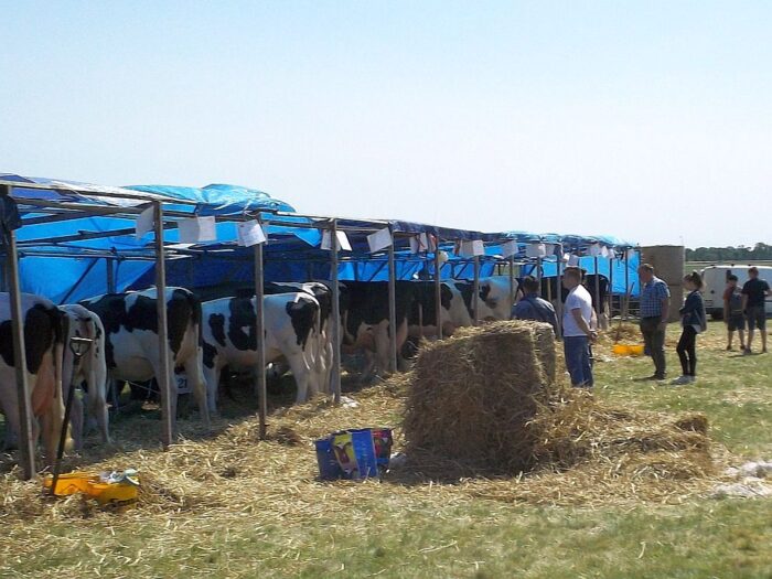 fot. PIW w Białej Podlaskiej