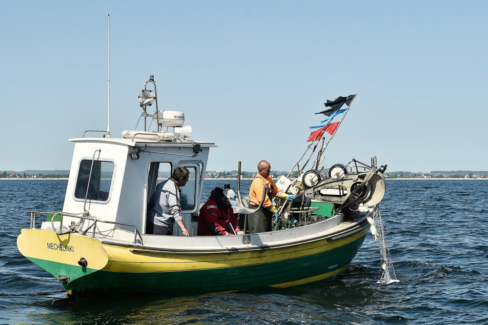 rybołówstwo, Program Operacyjny Rybactwo i Morze, MGMiŻŚ, Zasada N+3