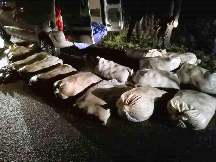 znęcanie się nad zwierzętami , kradzież ryb, policja, wiekopolskie