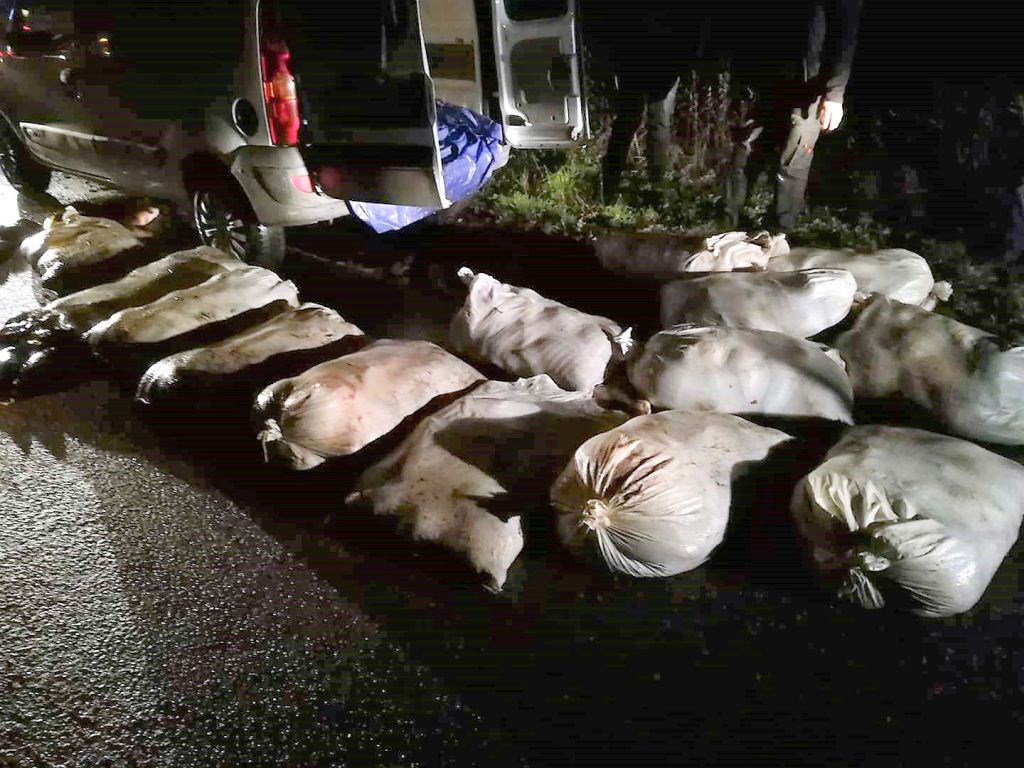 znęcanie się nad zwierzętami , kradzież ryb, policja, wiekopolskie