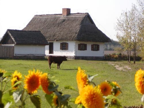 Muzeum Wsi Mazowieckiej w Sierpcu, mazowsze, sierpc, Ekspozycja Boże Narodzenie na Mazowszu