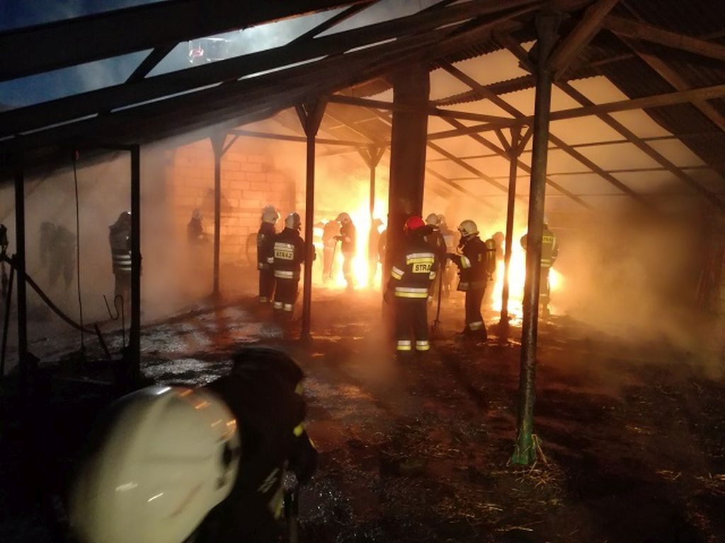 śmiarodowo krajeńskie, złotów, pożar w gospodarstwie, Kazimierz Wiebskowski, Zagaje Dębiańskie
