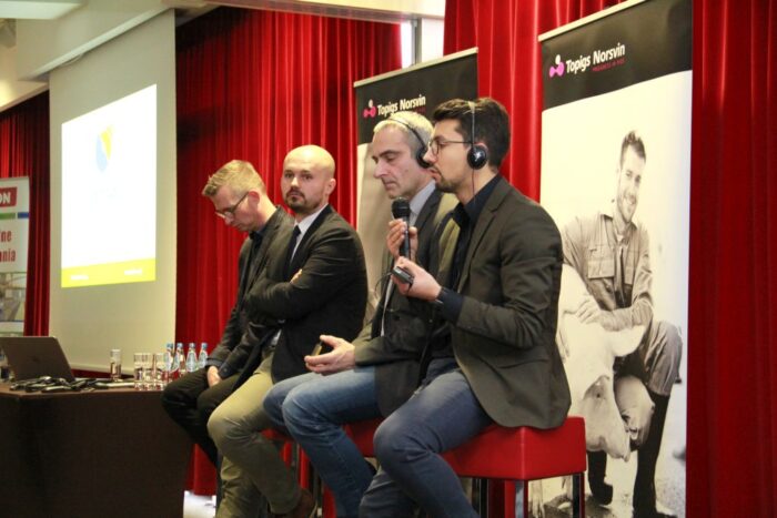 Topigs Norsvin, trzoda chlewna, żywienie, inseminacja