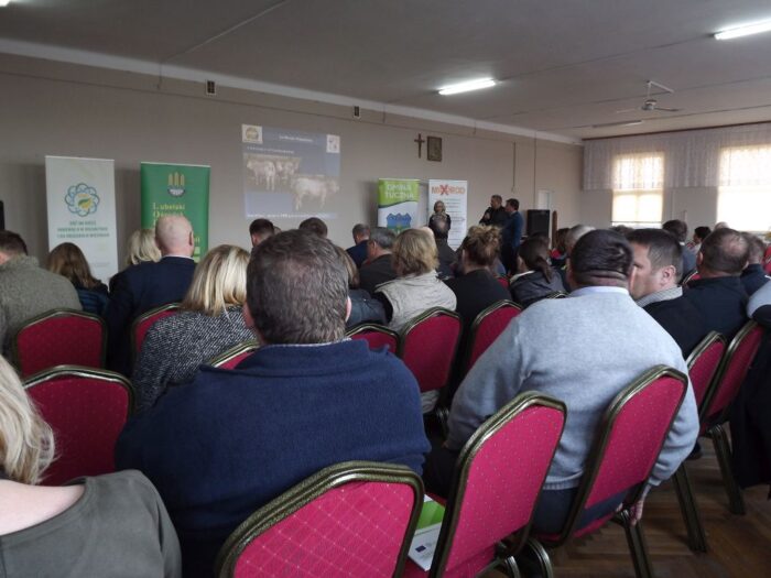 gmina tuczna, hodowla bydła mięsnego, chów bydła mięsnego, LORD Końskowola, Małgorzata Seroka,