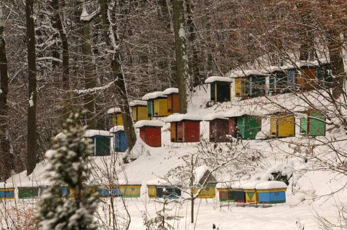 pogoda, zima, śnieg, zmiana pogody, mróz, gwałtowna zmiana pogody