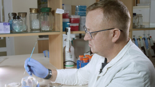 Andrzej Brachaczek, laboratorium