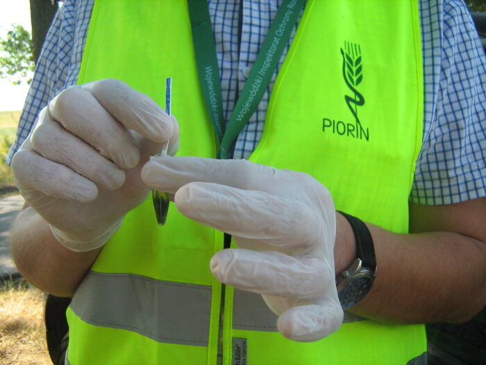 GMO, nasiona, WIORiN Bydgoszcz, kujawsko-pomorskie, uprawa