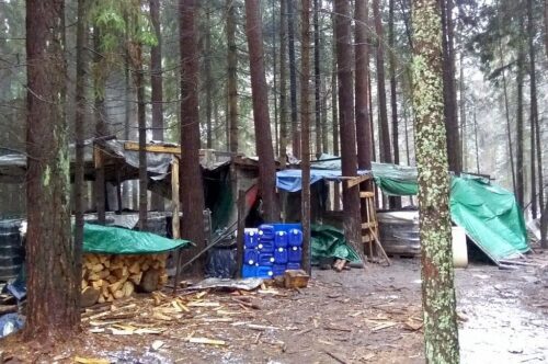 KAS, bimber, nielegalny alkohol, produkcja bimbru w lesie, podlaskie, małopolskie