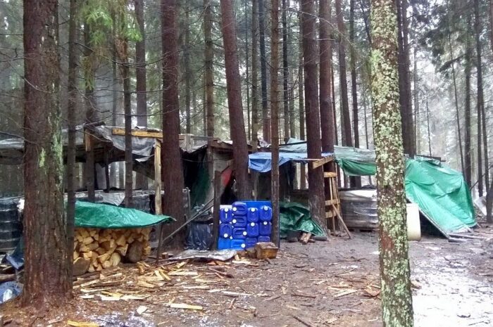 KAS, bimber, nielegalny alkohol, produkcja bimbru w lesie, podlaskie, małopolskie