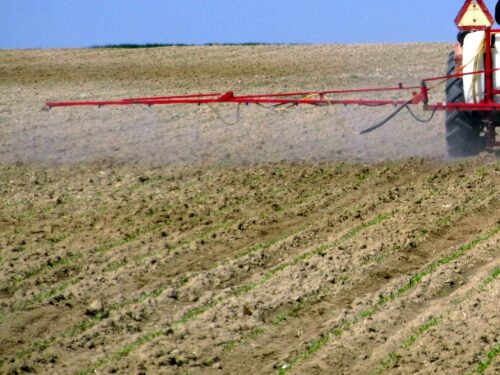 zaprawy nasienne, Marek Mrówczyński, IOR-PIB, chemizacja rolnictwa, COBORU