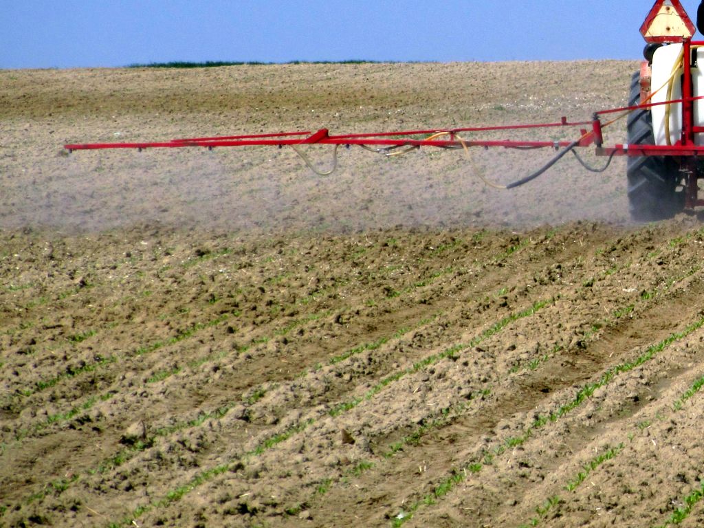 zaprawy nasienne, Marek Mrówczyński, IOR-PIB, chemizacja rolnictwa, COBORU