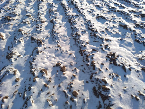 gleba, śnieg, skiby