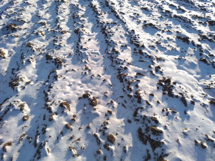 gleba, śnieg, skiby