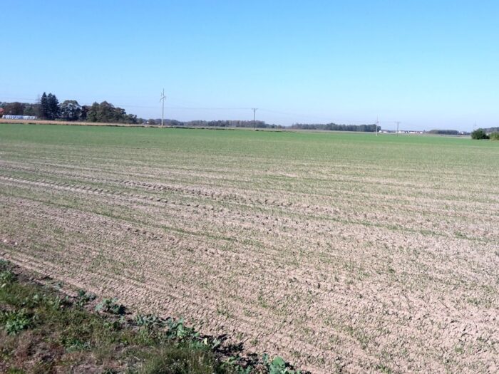 grunty rolne, grunty zdewastowane, grunty zdegradowane, gus