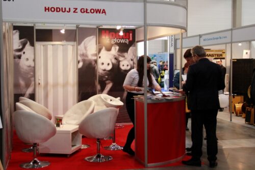 Forum hodowli trzody chlewnej, Hoduj z Głową Świnie, trzoda chlewna, afrykański pomór świń