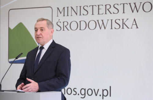 odstrzał dzików